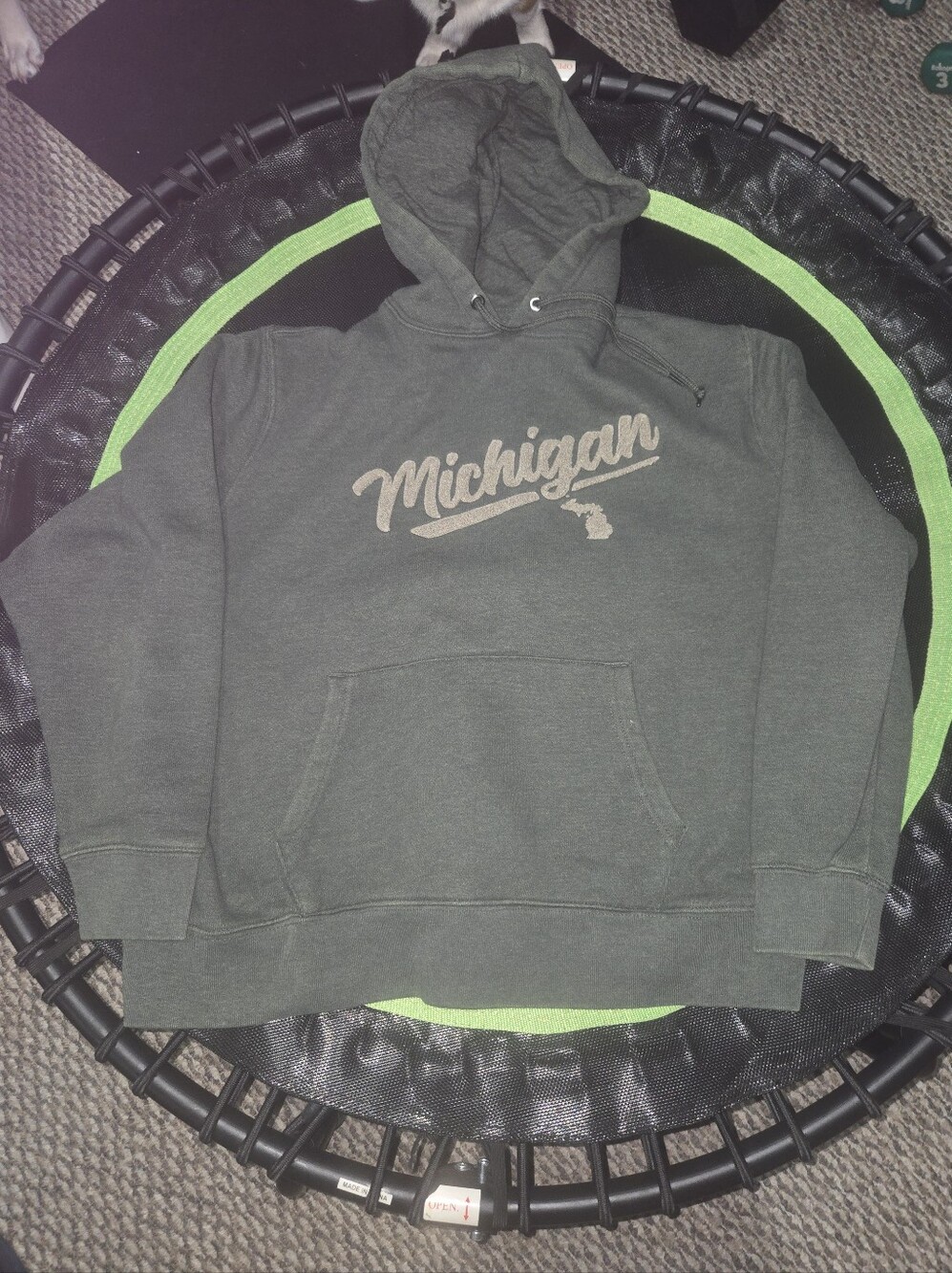 Men's Green Michigan Graphic Crewneck Hoodie